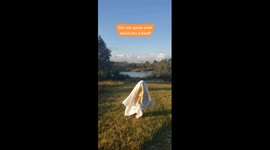Child Goes as Hubie Halloween, Pee Stained Sheet and All