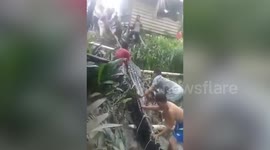 Elephant breaks through fence and raids family's garden in Thailand