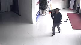 Chinese man carries owl on shoulder to police station after spotting it on road