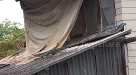 A very scary looking monitor lizard climbs up on an old house and peeps in the window, he sees a scary reflection of himself.