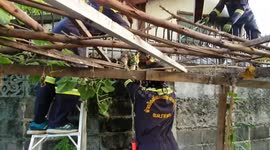 Python rescued after eating cat then getting stuck between metal railings in Thailand