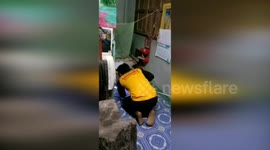 Thai woman shocked after being woken up by cobra under her bed