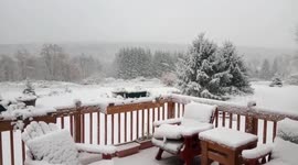 US: Pre-Halloween Wintry Weather Dumps Snow In The Northeast 2
