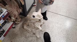 Creepy Halloween Dead Dog