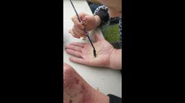 DIY Halloween Special FX