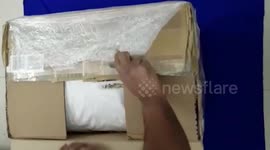 More than $20,000 worth of shark fins seized at airport in southern India