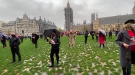 British musicians stage singing protest under rain outside Houses of Parliament