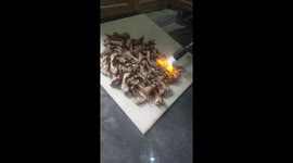 Horror dish made from Rat in Vietnam