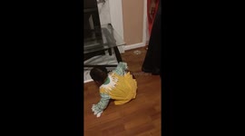 Baby in Kansas does Michael Jackson belly 'moonwalk' while trying to escape his aunt dressed as a witch
