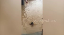 Boy swims through Philippines streets flooded by Typhoon Goni