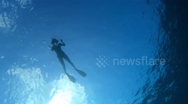 Through the bubble ring