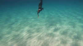 Arena and freedive