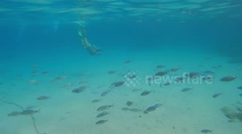 Fish are best friends