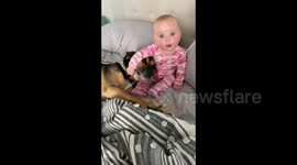 This dog and baby are the best of friends