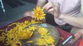 Vietnamese man creates beautiful water lilies out of a pumpkin