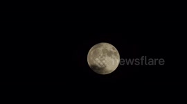 Rare and spooky blue moon lights up Minnesota sky on Halloween night