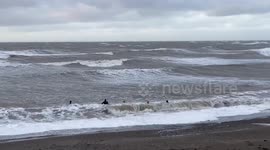 Swimming in a stormy sea