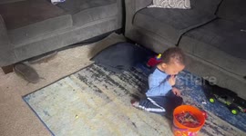 Who took the Halloween candy?
