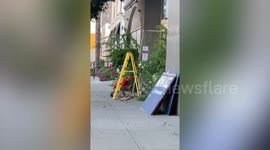 Businesses boarded up in Hollywood amid tense US election