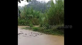Río Concepcion in Pilas de Concepcion, Puntarenas, Costa Rica