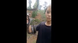 The man was bitten in his eyes and hands by two snakes while trying to catch them