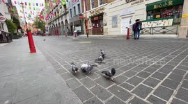 On the first day of the lockdown empty streets of London's Chinatown become playground for pigeons