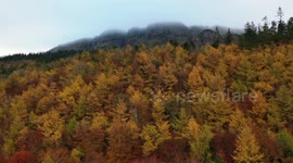 Stunning Drone Sequence Reveals Autumn Colours On Mountain