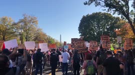 March to the White House demands every vote be counted