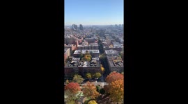 New Yorkers heard cheering after Biden wins the presidency