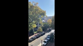 Celebrations in Washington, D.C. after Joe Biden beats Donald Trump to win White House