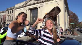 America reacts to Joe Biden winning the 2020 presidential election