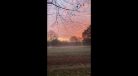 Glorious apocalyptic sunrise over Hyde Park