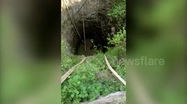 Southern India firefighters rescue cow from 90-foot-deep well