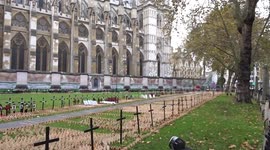 Westminster Abbey Field of Remembrance on Remembrance Sunday 2020