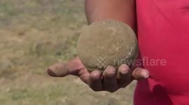 Paleontologist claims to have discovered fossils of new dinosaur species in central India