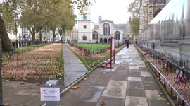 Westminster Abbey Field of Remembrance closed to public on Remembrance Sunday 2020 due to coronavirus