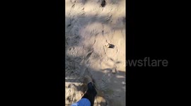 Hurricane Eta rocks Guatemala with strong winds and rain