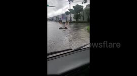 US: Tropical Storm Eta Brings Heavy Rain And Flooding To South Florida 7