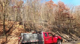 Brush Fire