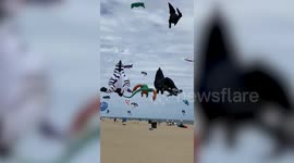 Spectacular sea of kites fly over Maryland beach