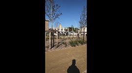 Tear gas on high school