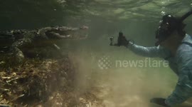 Underwater videographer gets up close and personal with powerful crocodiles in Mexico