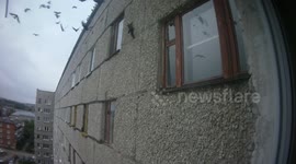 An unknown animal crawls along the sheer wall of a residential building in Sarapul, Russia