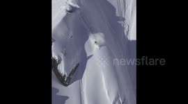 Skiers glide through series of avalanches in Austrian mountains
