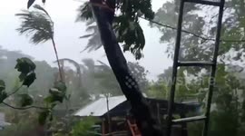 Philippines: Typhoon Vamco Hits East Coast With Rains And Winds, Evacuation Order Issued 5