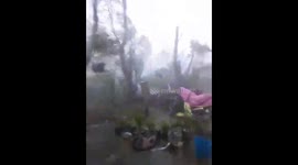 Trees battle against strong winds as Typhoon Vamco encroaches on the Philippines