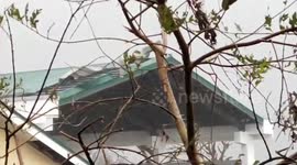 Strong winds rip metal roof from school as Typhoon Vamco approaches Philippines