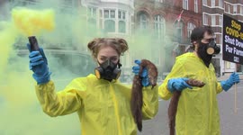 PETA activists bring dead minks to Danish Embassy protest
