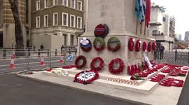 Extinction Rebellion climate protest at Cenotaph war memorial ahead of Remembrance service