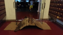 Gusts From Typhoon Vamco Felt In Manila, Philippines